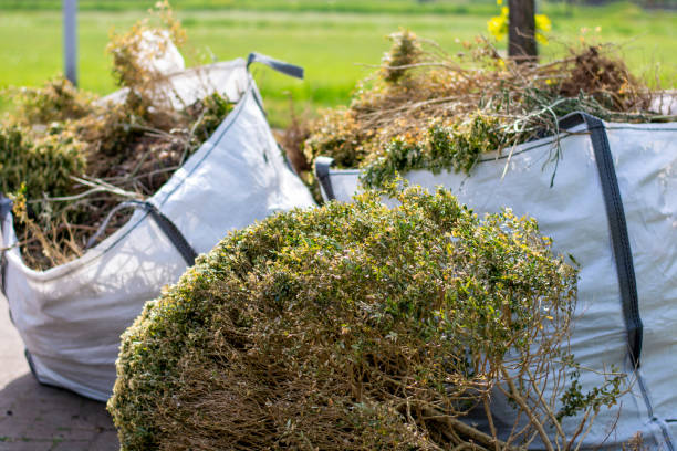 Trash Removal Near Me in Ault, CO